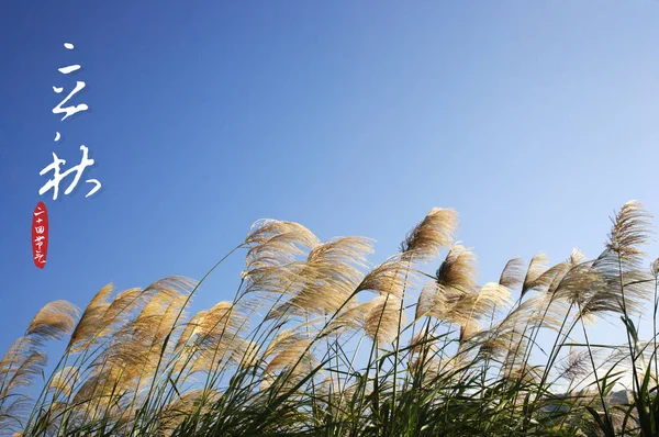 Natural Background Greeting Chinese Card — стоковое фото