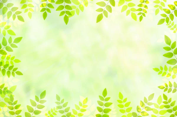 Leaves Frame Copy Space Natural Background —  Fotos de Stock