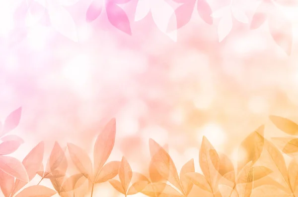 Pink Leaves Frame Copy Space Natural Background — стоковое фото