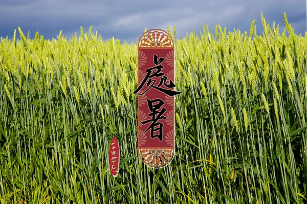 Close Shot Field Wheat Chinese Calligraphic Inscription Background — 图库照片