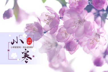 chinese festive card with floral background