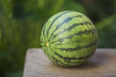 Ahşap bir masa üzerinde taze karpuz