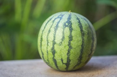 Arka planda yeşil karpuz, yakın