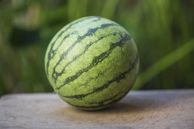 Arka planda yeşil karpuz, yakın