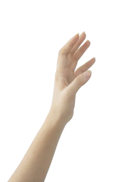 Mão Mulher Isolada Fundo Branco — Fotografia de Stock