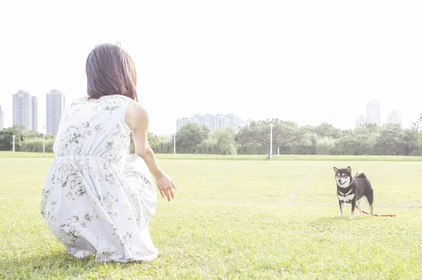 Jovem Mulher Asiática Andando Com Cão Parque Verão — Fotografia de Stock
