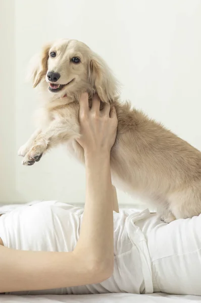 Frau Spielt Mit Hund Bett — Stockfoto