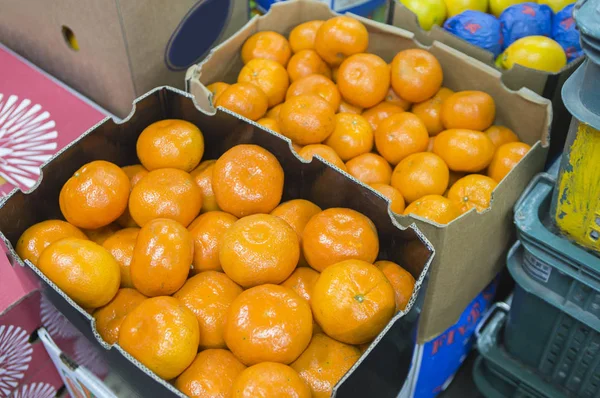 Tangerines Boxes Close — Fotografia de Stock