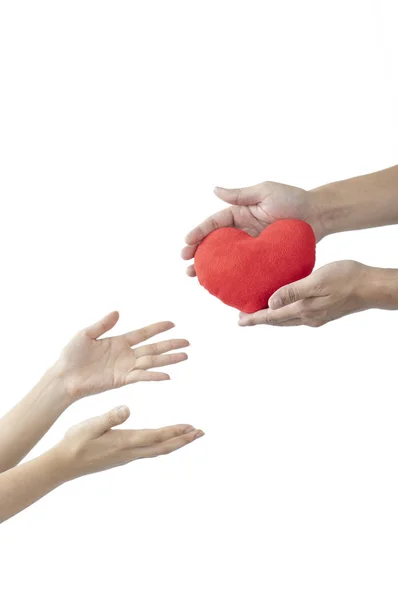 Красное Сердце Руках Изолированы Белом Фоне — стоковое фото