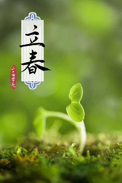 Κάρτα Κινεζική Καλλιγραφία Και Πράσινα Σπορόφυτα — Φωτογραφία Αρχείου