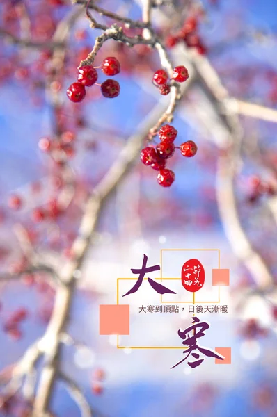 Κινέζικη Εορταστική Κάρτα Floral Φόντο — Φωτογραφία Αρχείου