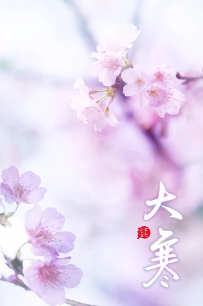 Китайська Святкова Листівка Квітковим Фоном — стокове фото