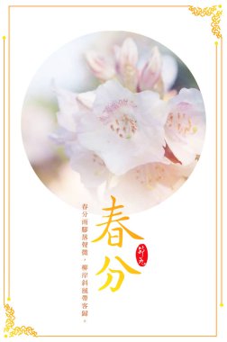 greeting chinese card, festive concept 