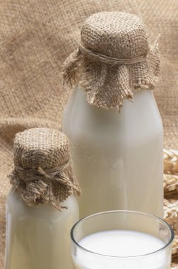 arka planda taze Süt, yakın