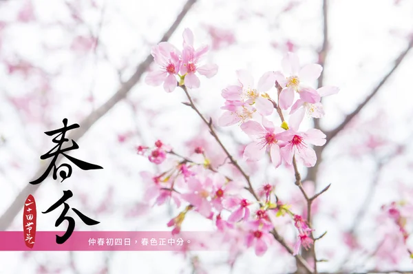 Árbol Flores Sobre Fondo Naturaleza — Foto de Stock