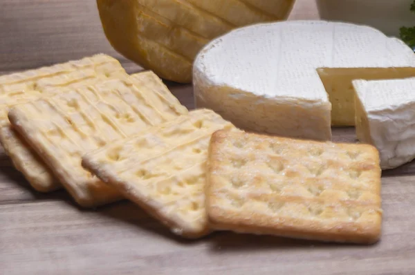 Tasty Cheese Background Close — Stock Photo, Image