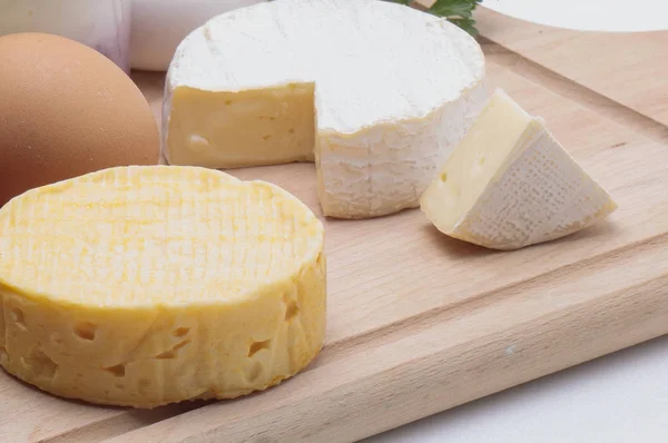 Tasty Cheese Background Close — Stock Photo, Image