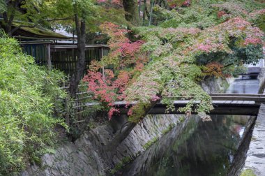 Asya'da eski ve geleneksel bina ve park