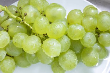 arka planda taze Yeşil üzüm 