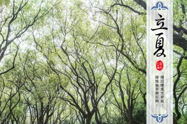 green forest with chinese inscription, background concept