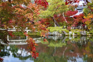 renkli yaprakları ile Asya'da eski park