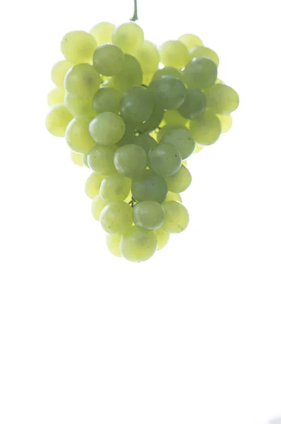 Verse Groene Druiven Achtergrond — Stockfoto
