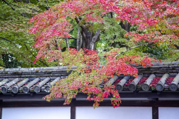 Altes Und Traditionelles Gebäude Und Park Asien — Stockfoto