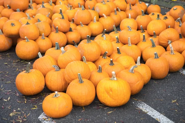 Imagen Cerca Calabazas Naranjas —  Fotos de Stock