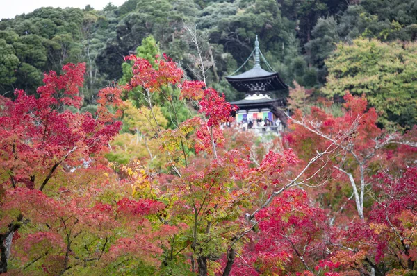 stock image old  park in Asia with colorful  leaves