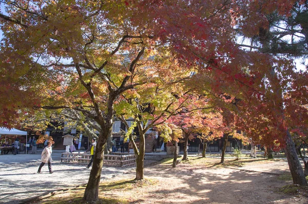 Alter Park Asien Mit Bunten Blättern — Stockfoto