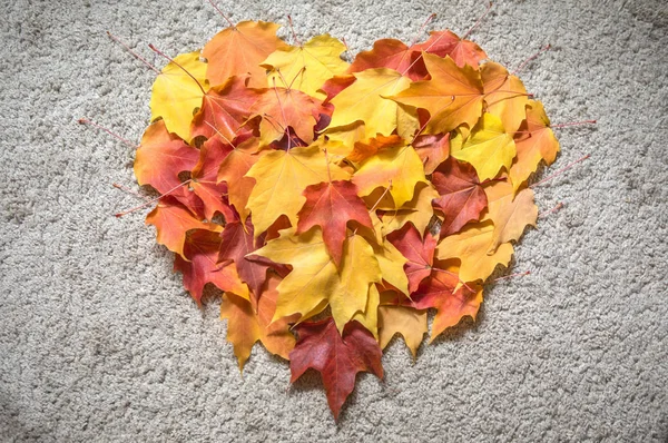 Сезон Красивых Осенних Листьев Форме Сердца — стоковое фото