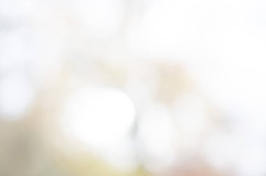 renkli, soyut bulanıklık arka plan 