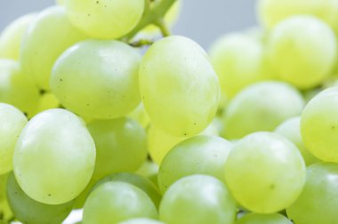 arka planda taze Yeşil üzüm 