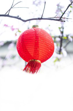 Arka plan için Çin yeni yıl kırmızı fener. 