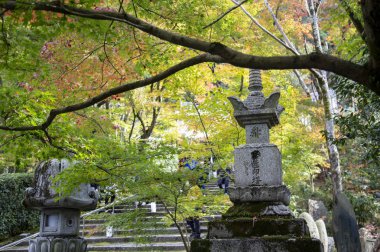 renkli yaprakları ile Asya'da eski park