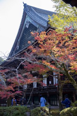 renkli yaprakları ile Asya'da eski park