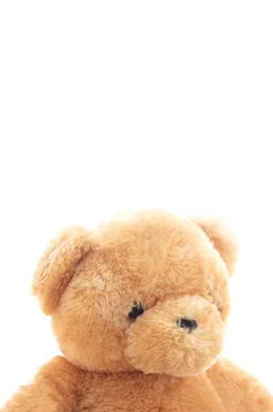 Teddybär Isoliert Auf Weißem Hintergrund — Stockfoto