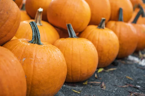 Nahaufnahme Bild Von Orangefarbenen Kürbissen — Stockfoto