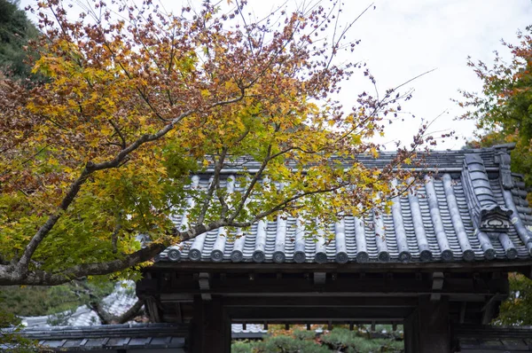 Altes Und Traditionelles Gebäude Und Park Asien — Stockfoto