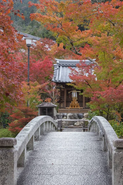 Gammal Och Traditionell Byggnad Och Park Asien — Stockfoto