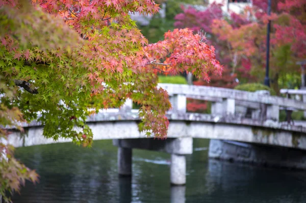 Altes Und Traditionelles Gebäude Und Park Asien — Stockfoto