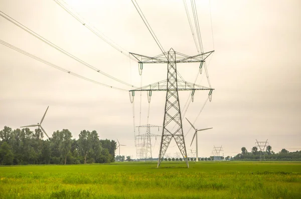 Linee Elettriche Sul Campo — Foto Stock