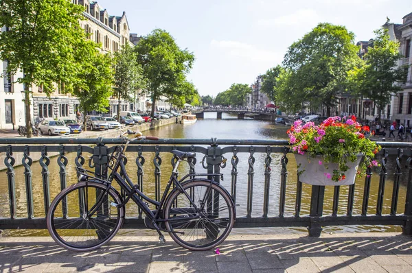 Красиві Будівлі Канал Нідерландах Європа — стокове фото