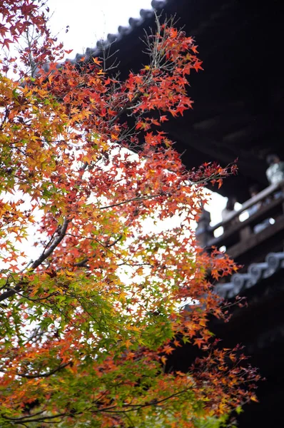 Altes Und Traditionelles Gebäude Und Park Asien — Stockfoto