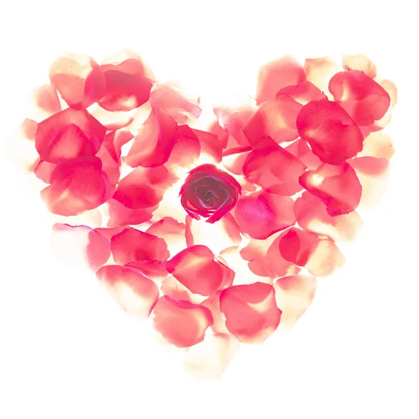 Card Beautiful Floral Elements Heart Made Red Petals — Stock Photo, Image