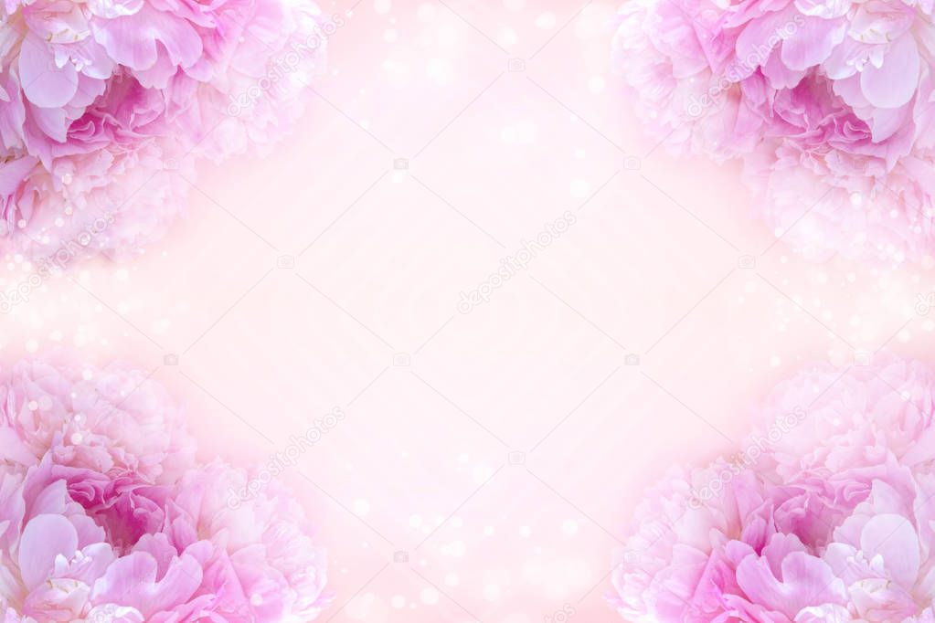 Abstract background of flowers. Close-up