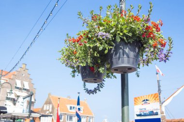 Güzel saksı bitkileriyle eski kasabanın sokak manzarası