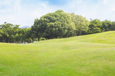 Yeşil çimenler ve ağaçlarla dolu güzel bir yaz manzarası