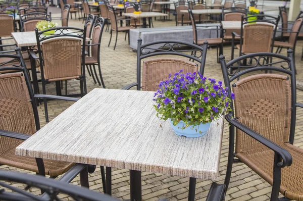 Terasz Kávézó Asztal Székek Gyönyörű Csokor Virág Asztalon — Stock Fotó