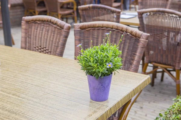 Terrasse Café Tisch Und Stühle Mit Schönem Blumenstrauß Auf Tisch — Stockfoto